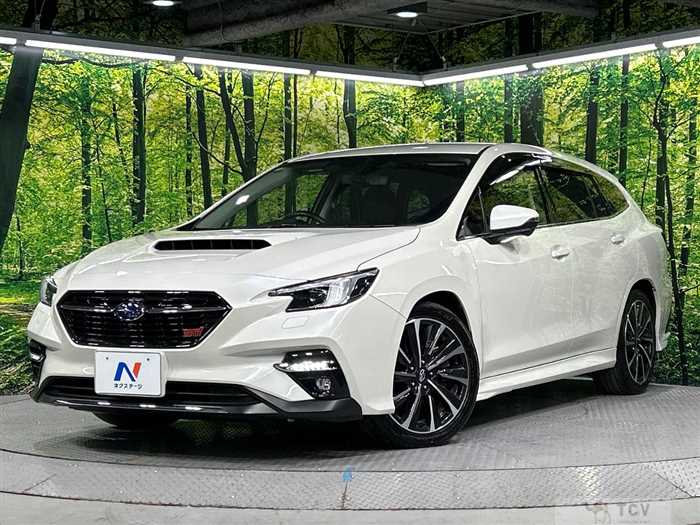 2020 Subaru Levorg