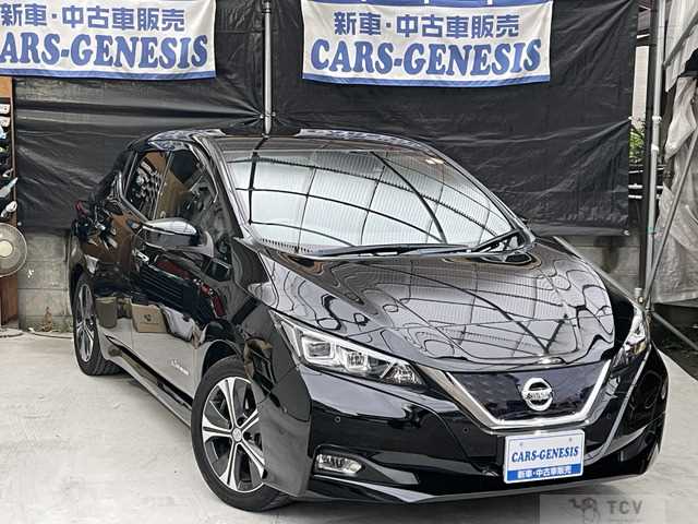 2019 Nissan Nissan Others