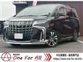 2019 Toyota Alphard G