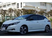 2018 Nissan Nissan Others