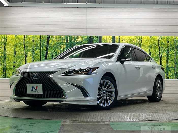 2019 Lexus ES