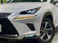 2018 Lexus NX