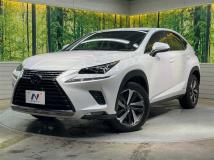 2018 Lexus NX