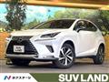 2021 Lexus NX