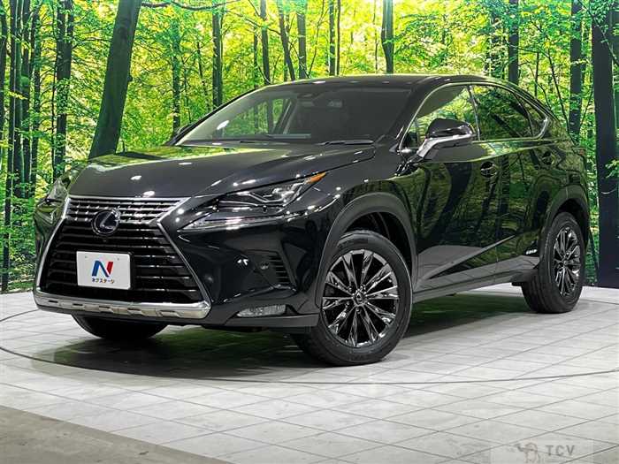 2018 Lexus NX