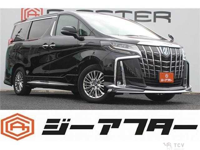 2019 Toyota Alphard G