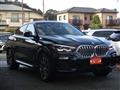 2020 BMW X6
