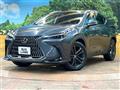 2022 Lexus NX