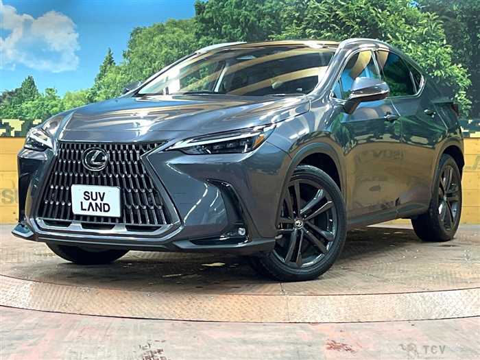 2022 Lexus NX