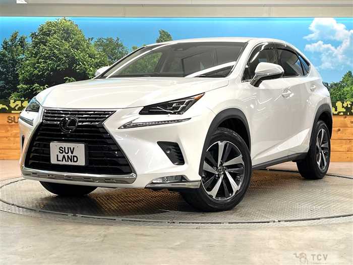 2018 Lexus NX