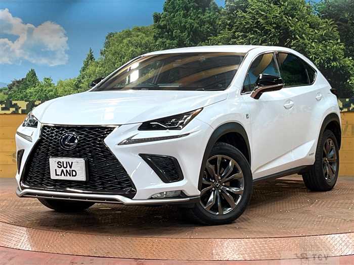 2017 Lexus NX