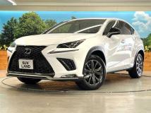 2018 Lexus NX