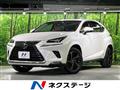2018 Lexus NX