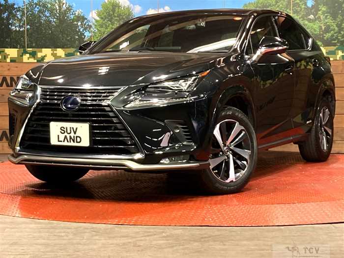 2021 Lexus NX