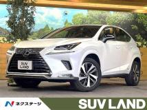 2021 Lexus NX