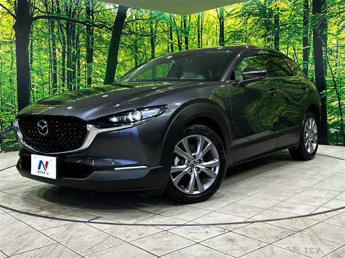 2019 Mazda Mazda Others