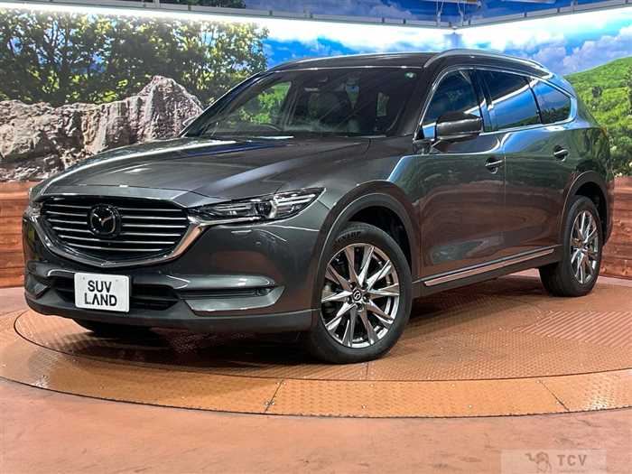 2019 Mazda CX-8