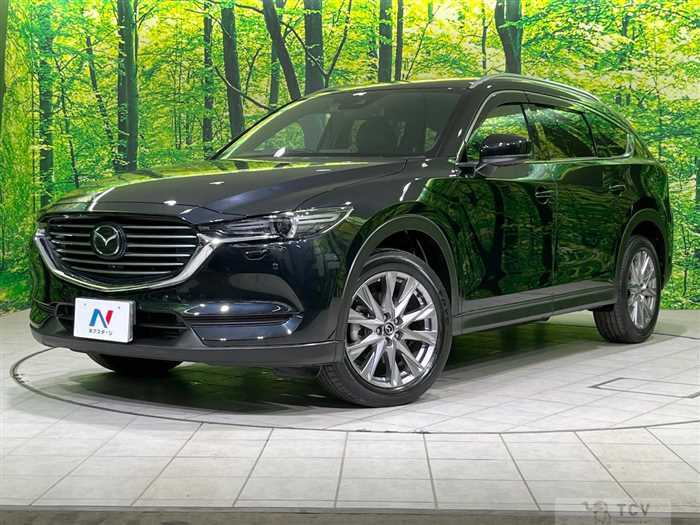 2019 Mazda CX-8