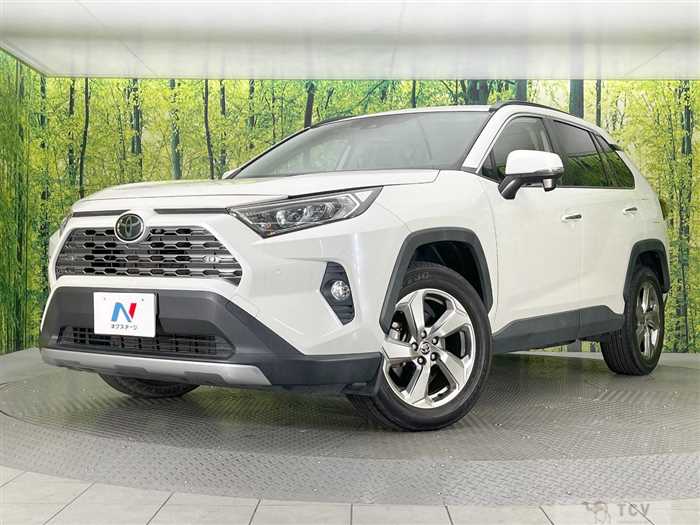 2019 Toyota RAV4