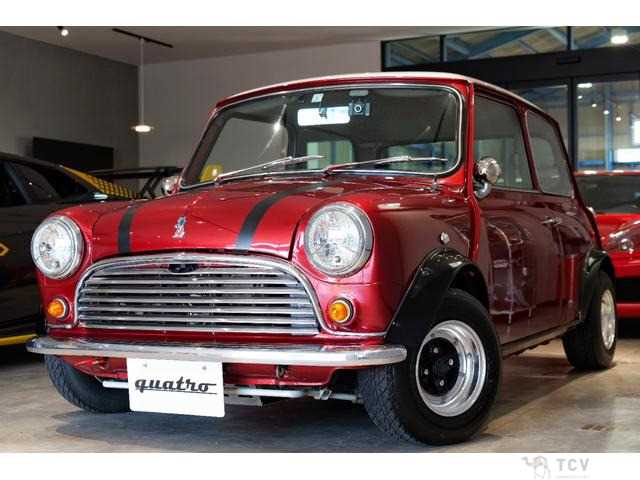1991 Rover Mini