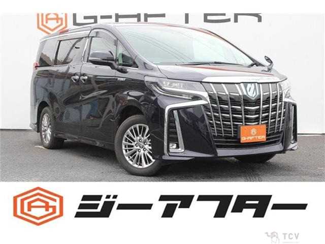 2019 Toyota Alphard G