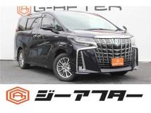 2019 Toyota Alphard G