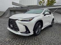 2023 Lexus NX