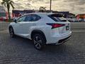 2020 Lexus NX