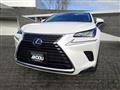 2020 Lexus NX