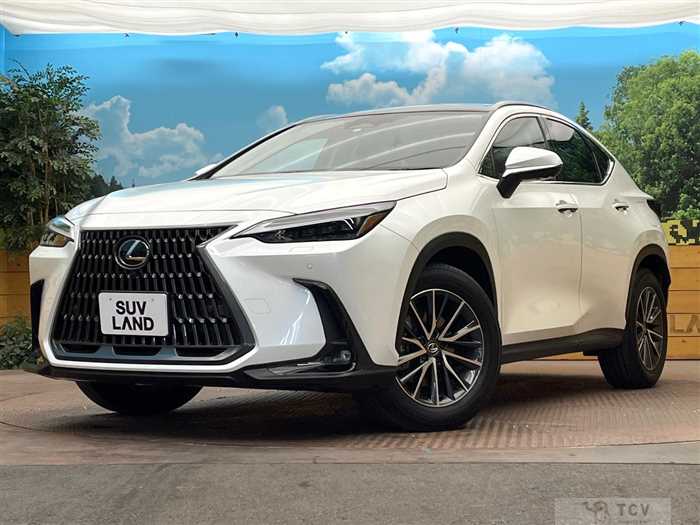 2023 Lexus NX