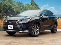2014 Lexus NX