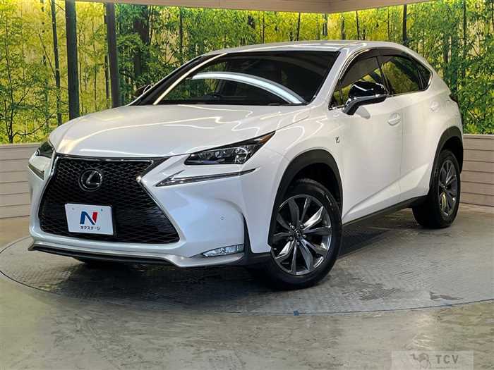2015 Lexus NX