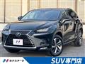 2018 Lexus NX