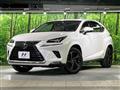 2018 Lexus NX