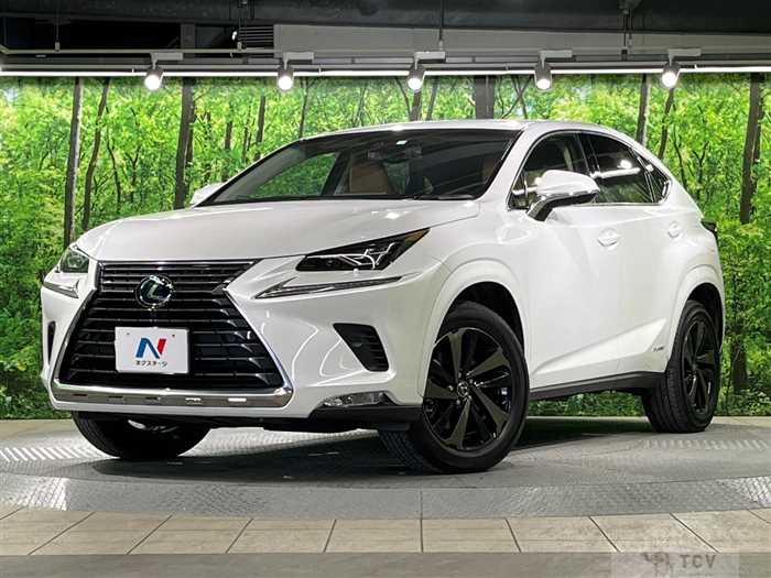 2018 Lexus NX