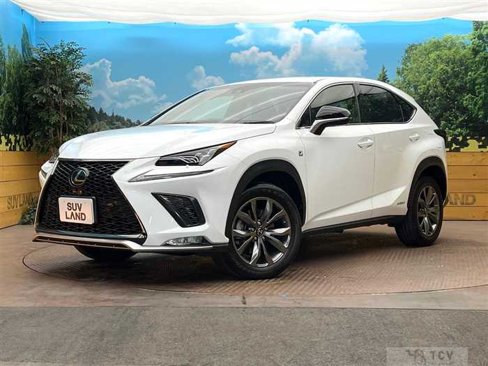 2019 Lexus NX