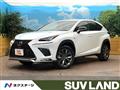 2019 Lexus NX