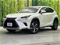 2019 Lexus NX