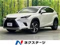 2019 Lexus NX