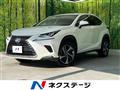 2019 Lexus NX