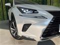 2019 Lexus NX