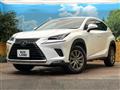 2020 Lexus NX