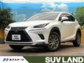 2020 Lexus NX