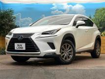 2020 Lexus NX