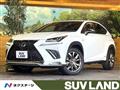 2021 Lexus NX