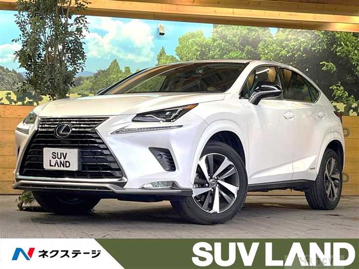 2021 Lexus NX