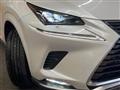2021 Lexus NX