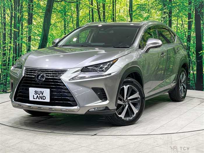 2018 Lexus NX