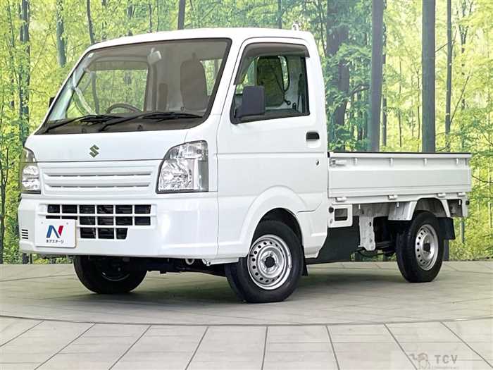 2016 Suzuki Carry Truck