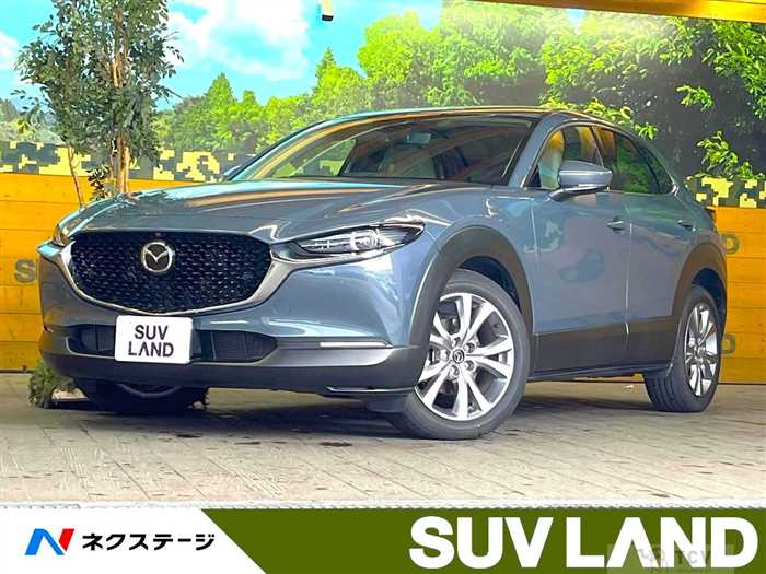 2020 Mazda Mazda Others